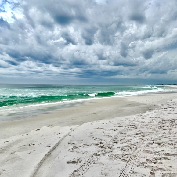 Meet your Posher, Alessandra - Picture 1 of 1